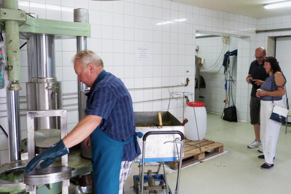 Szak olajsajtoló üzem- Göcseji tökmagolaj